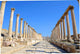 Colonnaded Street Ancient Jerash