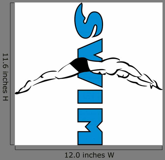 Swim Plunge