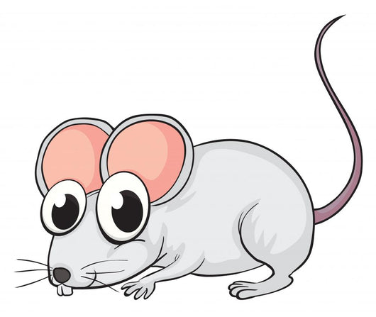 A mouse Wall Decal
