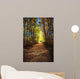Forest Path In Autumn Wall Mural