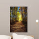Forest Path In Autumn Wall Mural