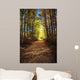 Forest Path In Autumn Wall Mural
