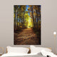 Forest Path In Autumn Wall Mural