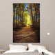 Forest Path In Autumn Wall Mural
