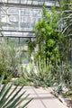Botanical Garden Na Slupi Wall Mural