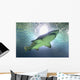shark Wall Mural