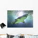 shark Wall Mural