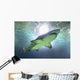 shark Wall Mural