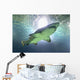 shark Wall Mural