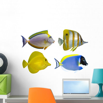 Four Tropical Fish Wall Stickers shown on a wall