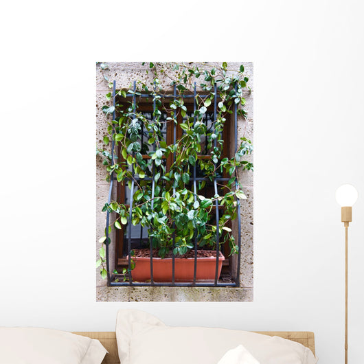 Convolvulus Wall Mural
