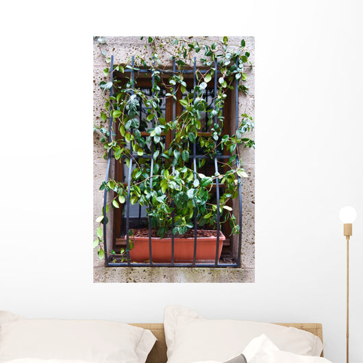Convolvulus Wall Mural