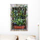 Convolvulus Wall Mural
