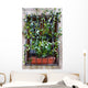 Convolvulus Wall Mural