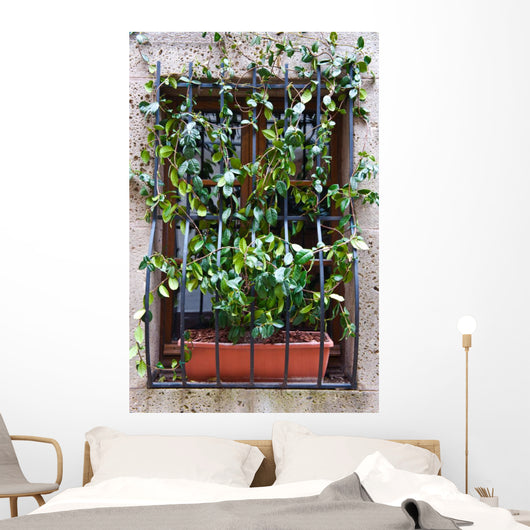Convolvulus Wall Mural
