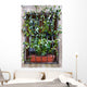 Convolvulus Wall Mural