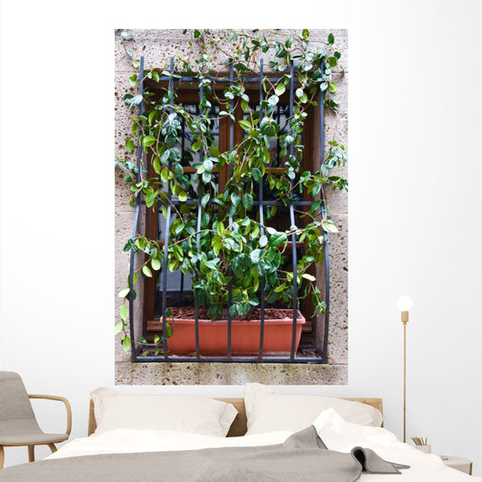 Convolvulus Wall Mural