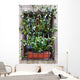 Convolvulus Wall Mural