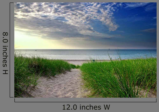 Michigan Beach