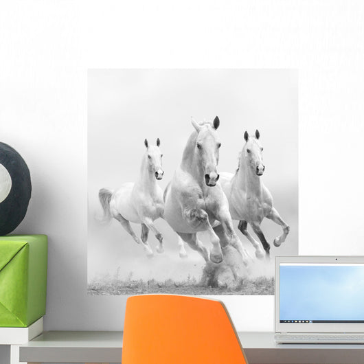 White Horses Dust