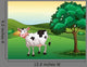 Smiling Cow