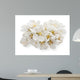 Cherry Blossoms Wall Decal