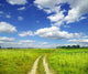 Field