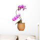 Orchid Wall Mural
