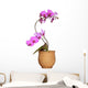 Orchid Wall Mural