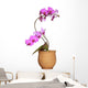 Orchid Wall Mural