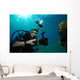 Underwater Photographer