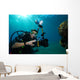 Underwater Photographer