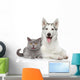 Cat and Dog Together