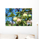 Apples Branch Wall Mural