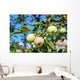 Apples Branch Wall Mural