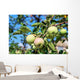 Apples Branch Wall Mural