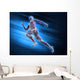 Sport Anatomy Runner