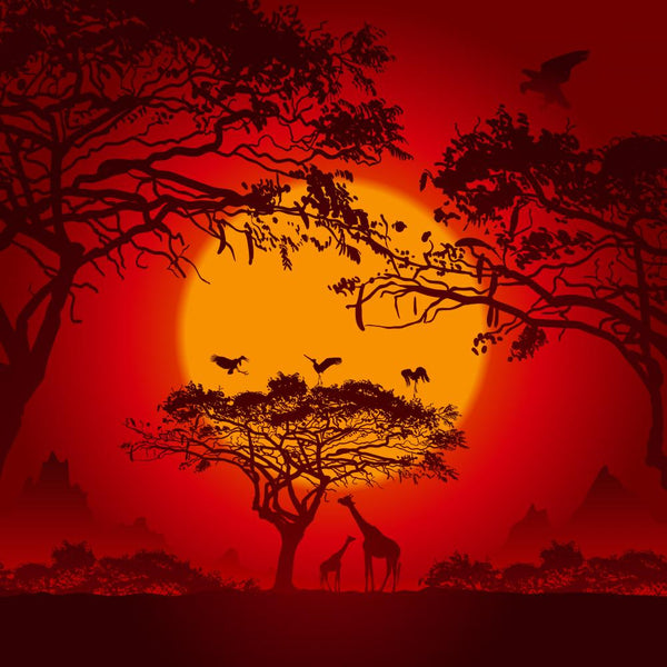 African Sunset – Wallmonkeys