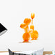 Animal Balloon Action Posed