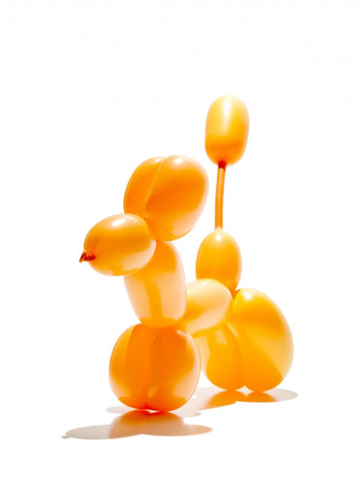 Animal Balloon Action Posed