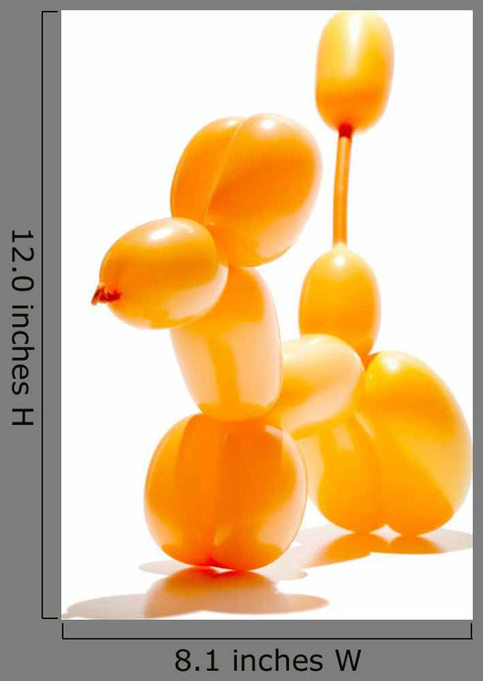 Animal Balloon Action Posed