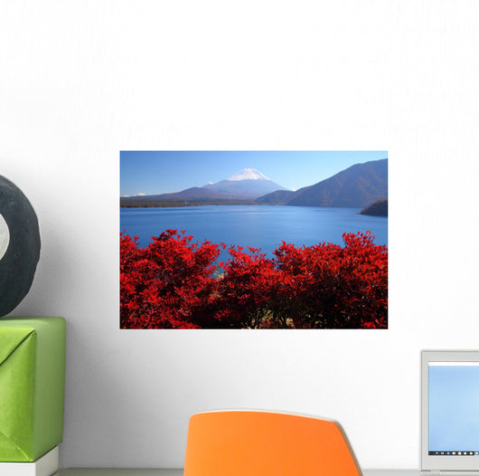 Mt Fuji and Lake
