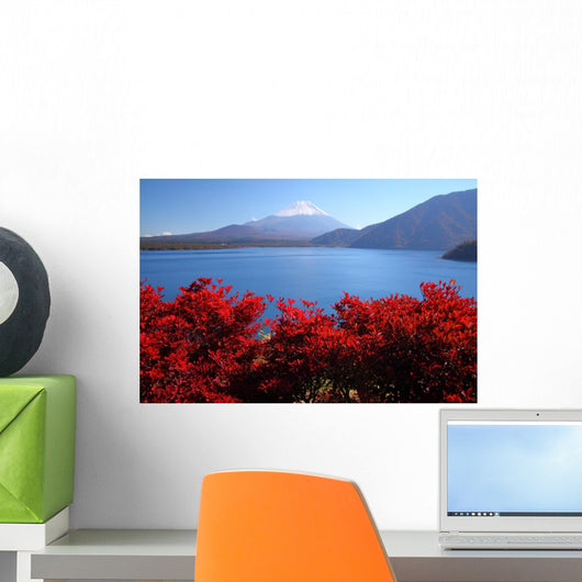 Mt Fuji and Lake
