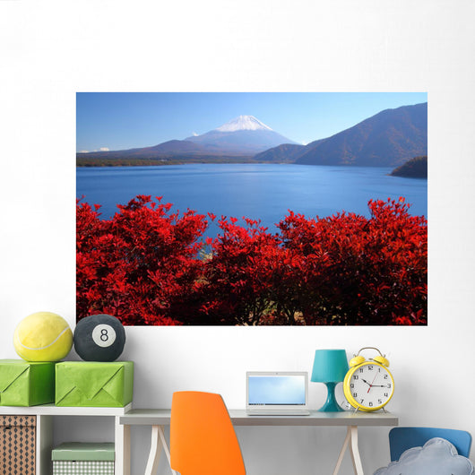Mt Fuji and Lake