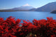 Mt Fuji and Lake