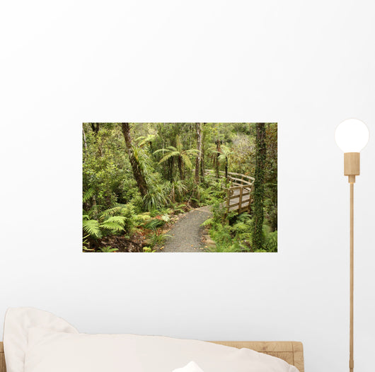 track through rain forest in New Zealand Wall Mural