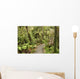 track through rain forest in New Zealand Wall Mural