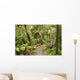 track through rain forest in New Zealand Wall Mural