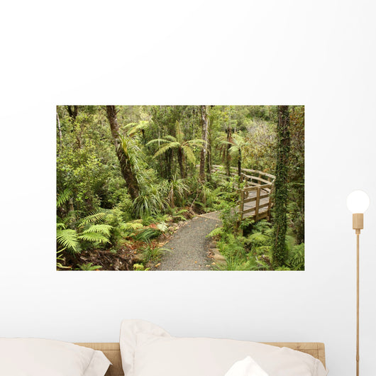 track through rain forest in New Zealand Wall Mural