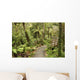track through rain forest in New Zealand Wall Mural
